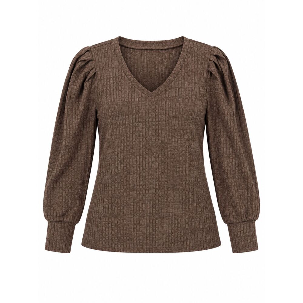 Brown Textured Ribbed V Neck Puff Sleeve Long Sleeve Top Dark Academia Romantic